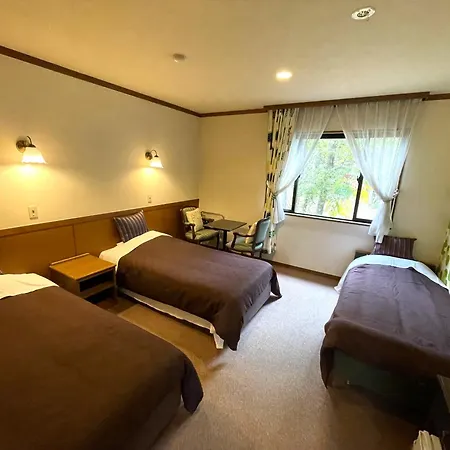 Heidihof Hotel Hakuba Exterior photo