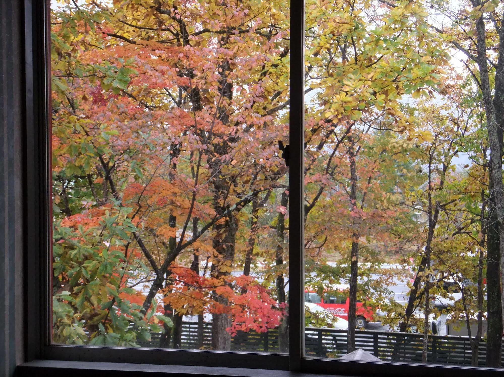 Hotel Heidihof Hakuba